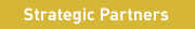 Strategic Partners