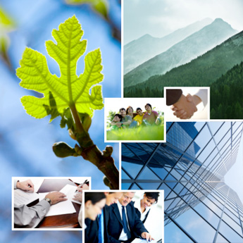 Febert & Associates - Firm Profile